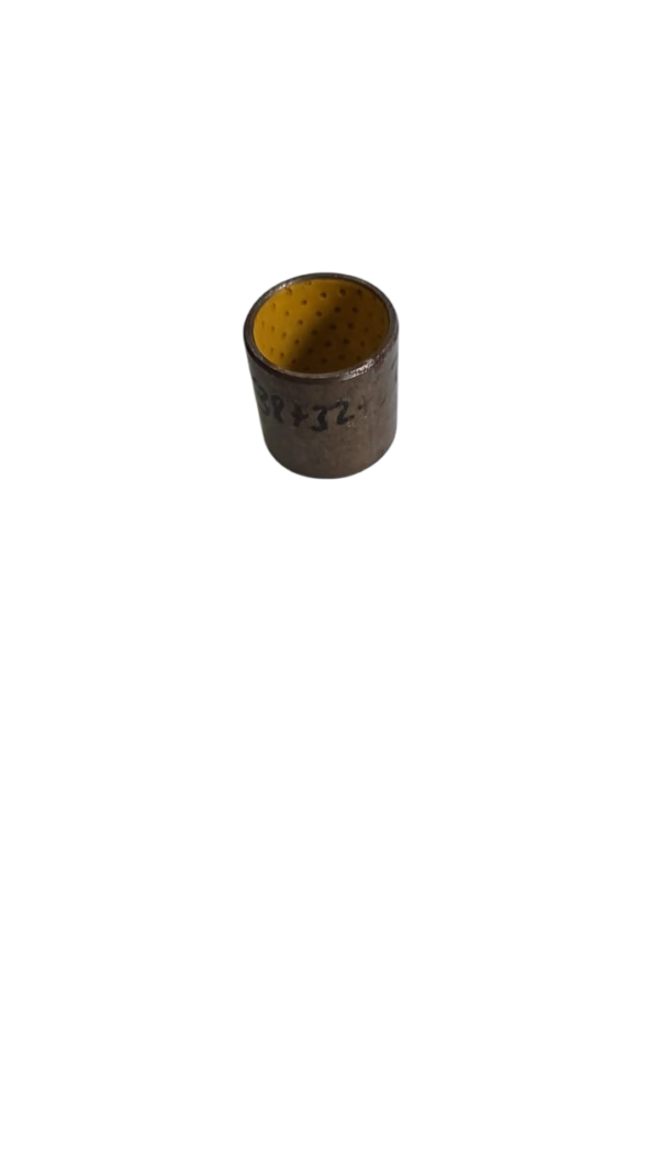 Spindle Bush - Image 3